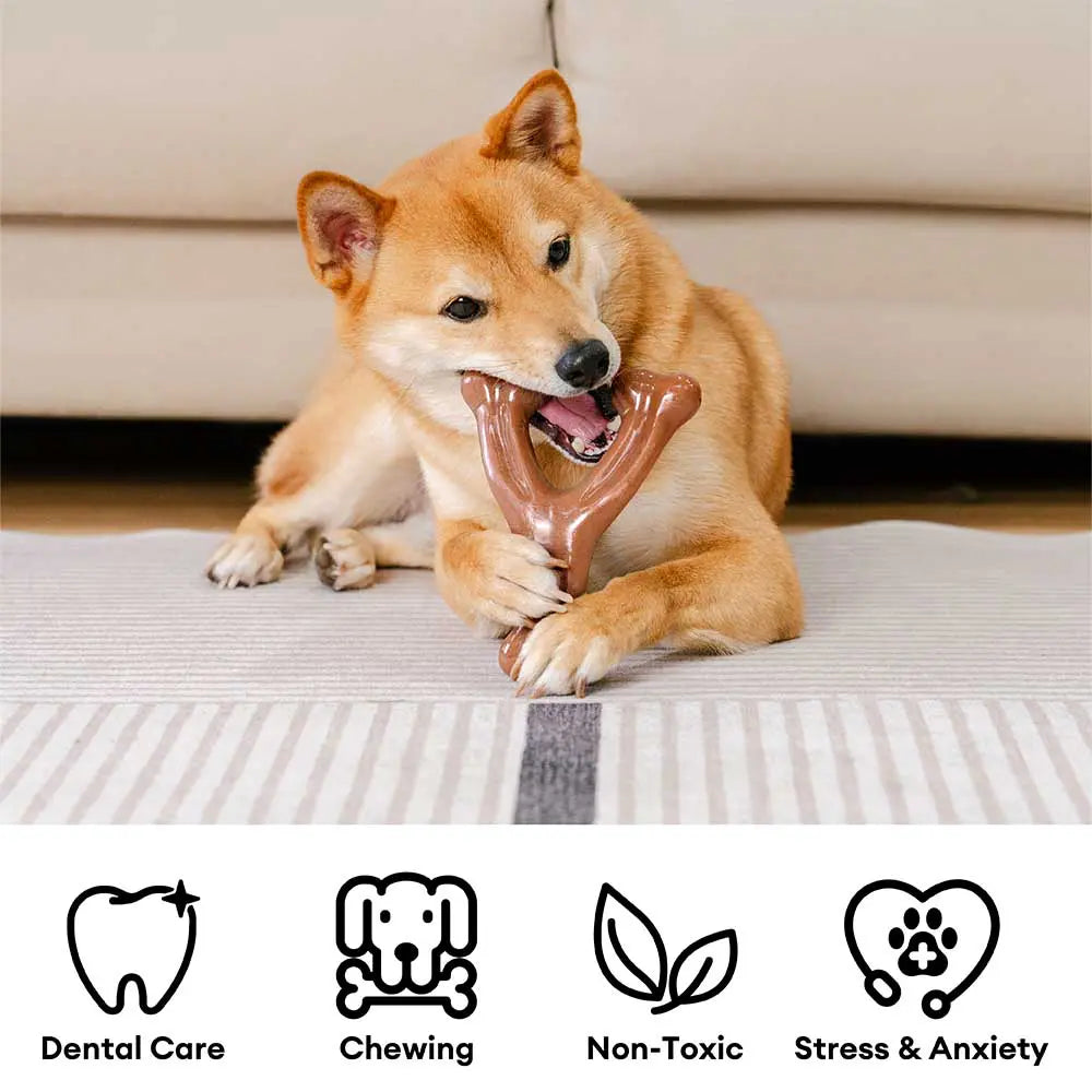 Teething Bones Dog Chew Toy - Bacon-Flavored 1