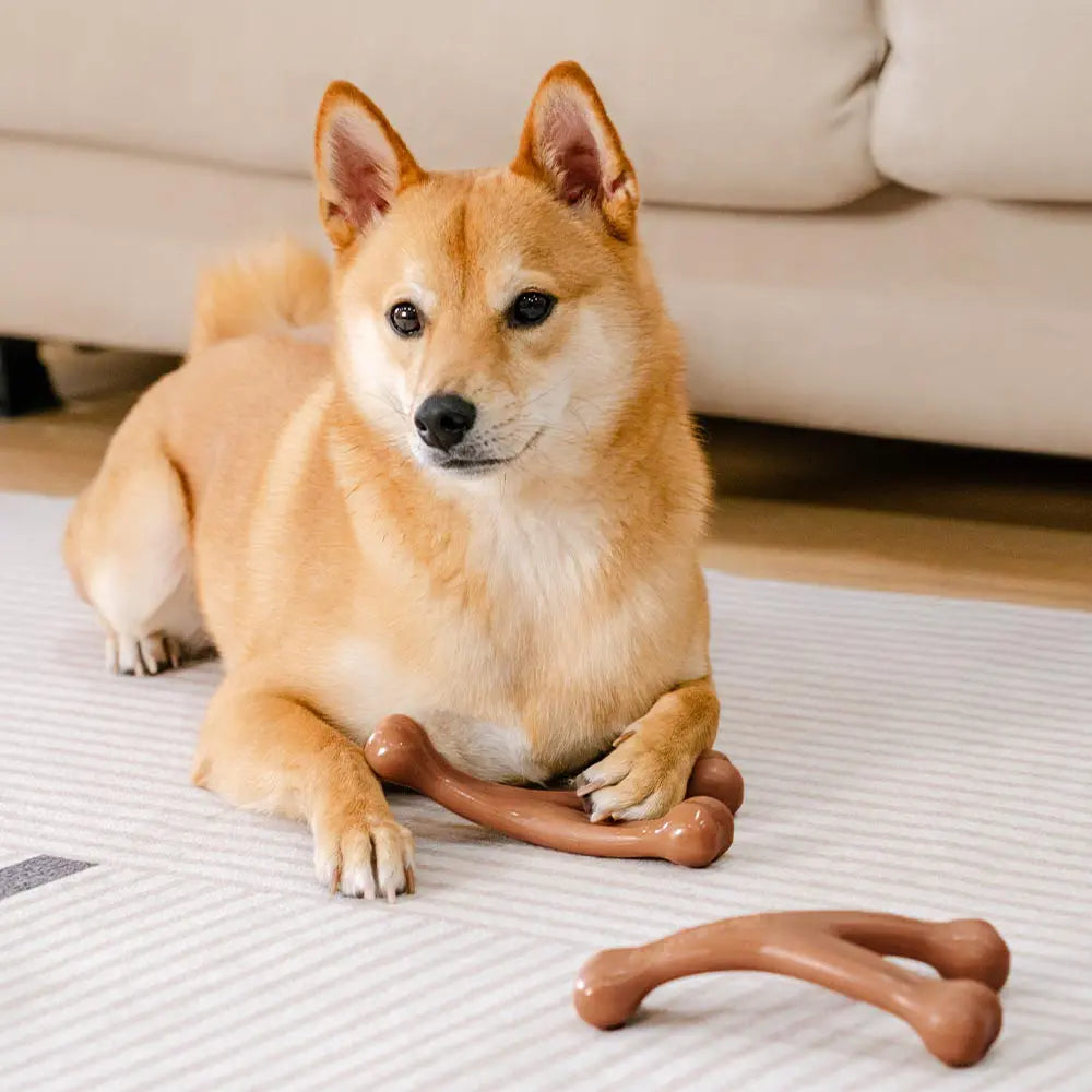 Teething Bones Dog Chew Toy - Bacon-Flavored 3