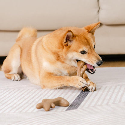 Teething Bones Dog Chew Toy - Bacon-Flavored 7