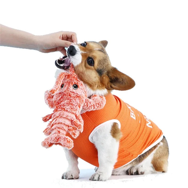 Wiggly Lobster - Interactive Dog Toy 1