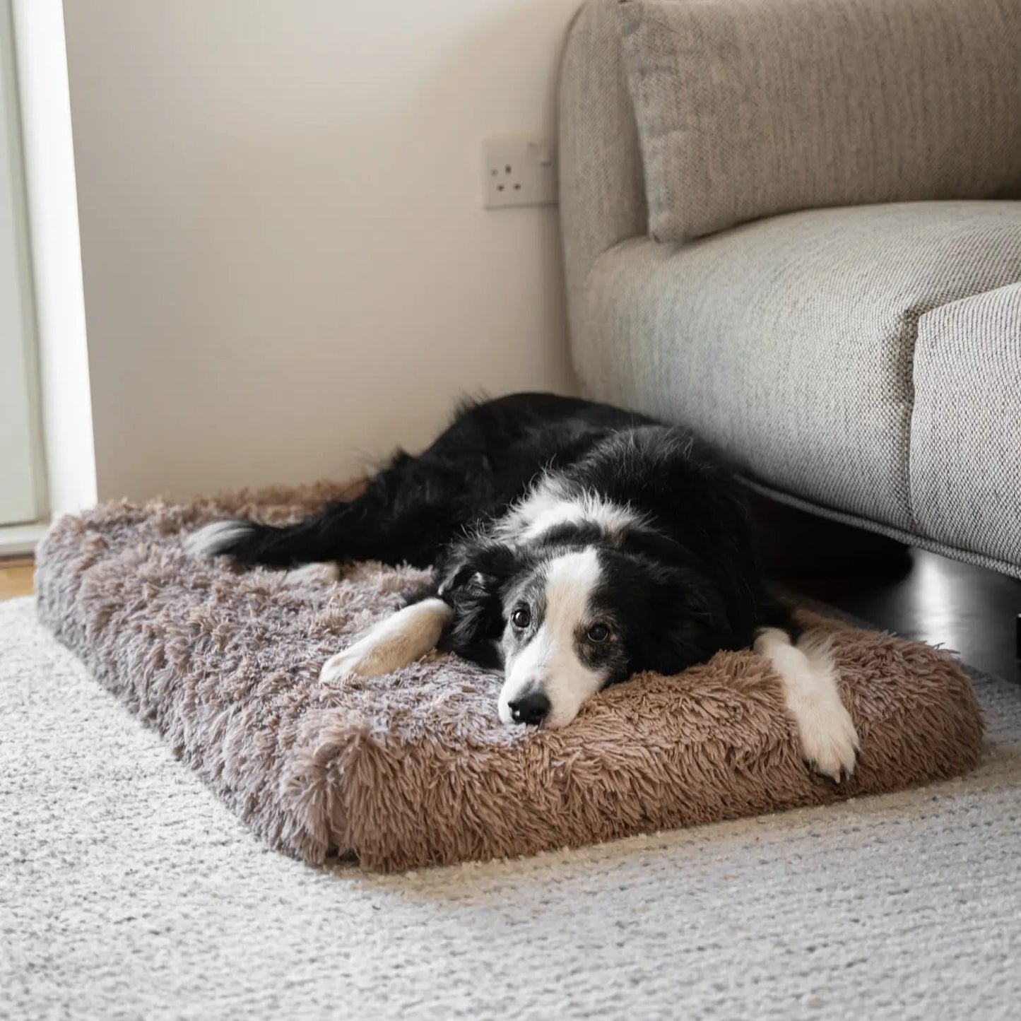 MrFluffyFriend™ - Orthopedic Pillow 2