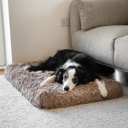 MrFluffyFriend™ - Orthopedic Pillow 2