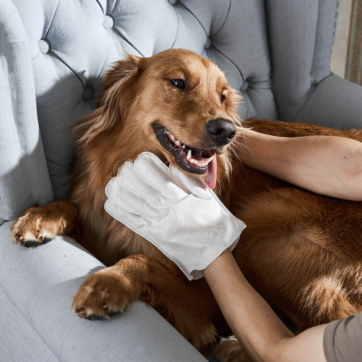 Elara Haus Dog Wet Wipes - Hypoallergenic Glove Design Canine Wipes 0