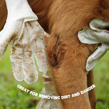 Elara Haus Dog Wet Wipes - Hypoallergenic Glove Design Canine Wipes 1