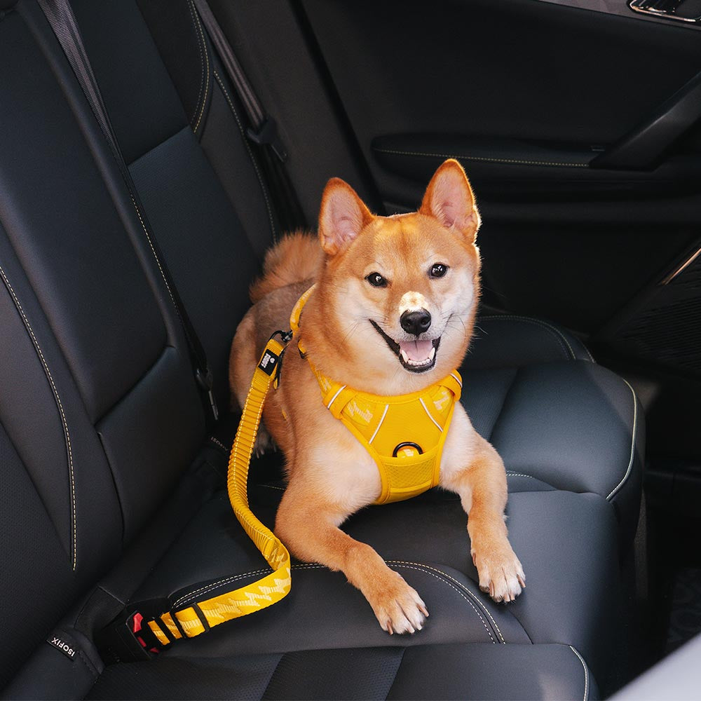 Car Seat Belt Buffer Adjustable Cool Dog Accessories 1