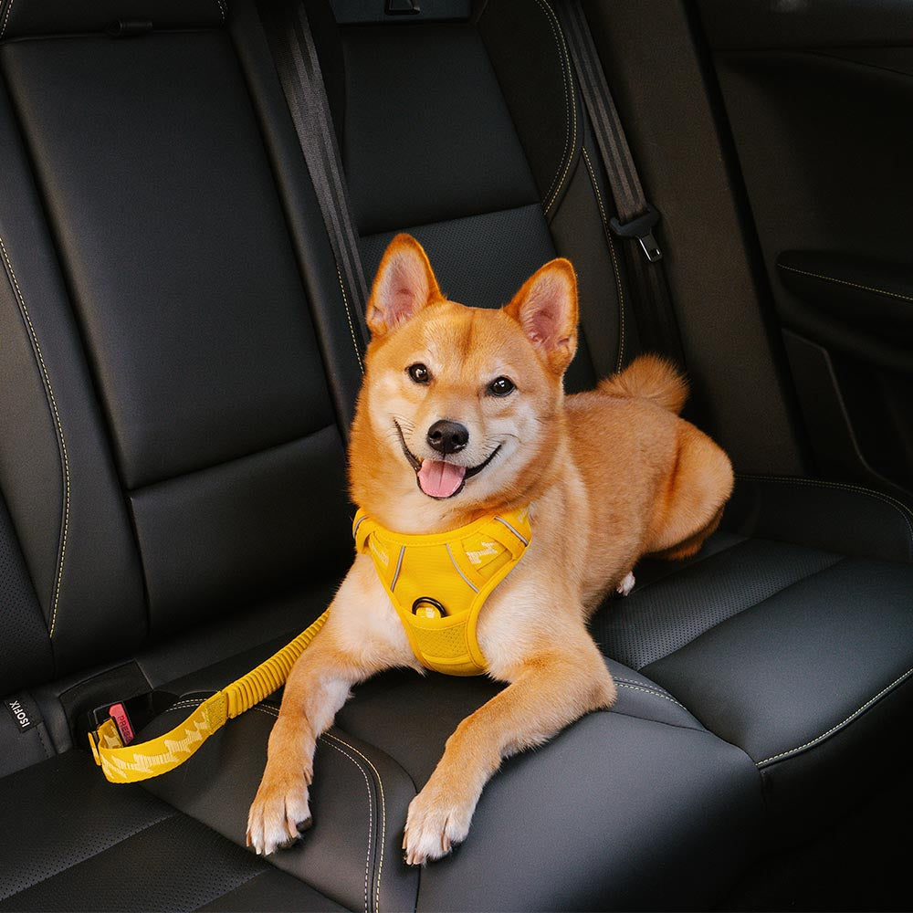 Car Seat Belt Buffer Adjustable Cool Dog Accessories 2
