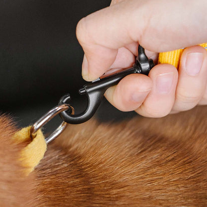 Car Seat Belt Buffer Adjustable Cool Dog Accessories 4