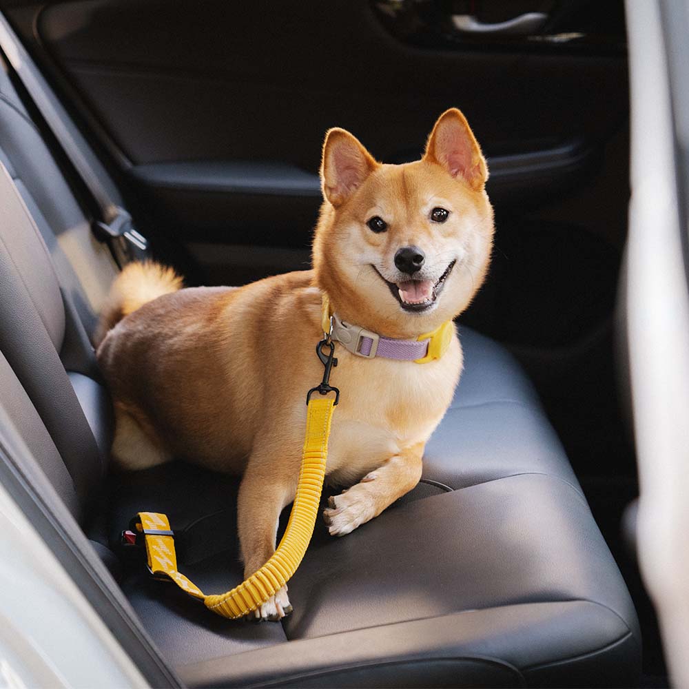 Car Seat Belt Buffer Adjustable Cool Dog Accessories 8