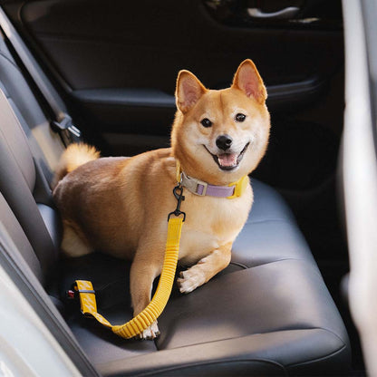 Car Seat Belt Buffer Adjustable Cool Dog Accessories 8