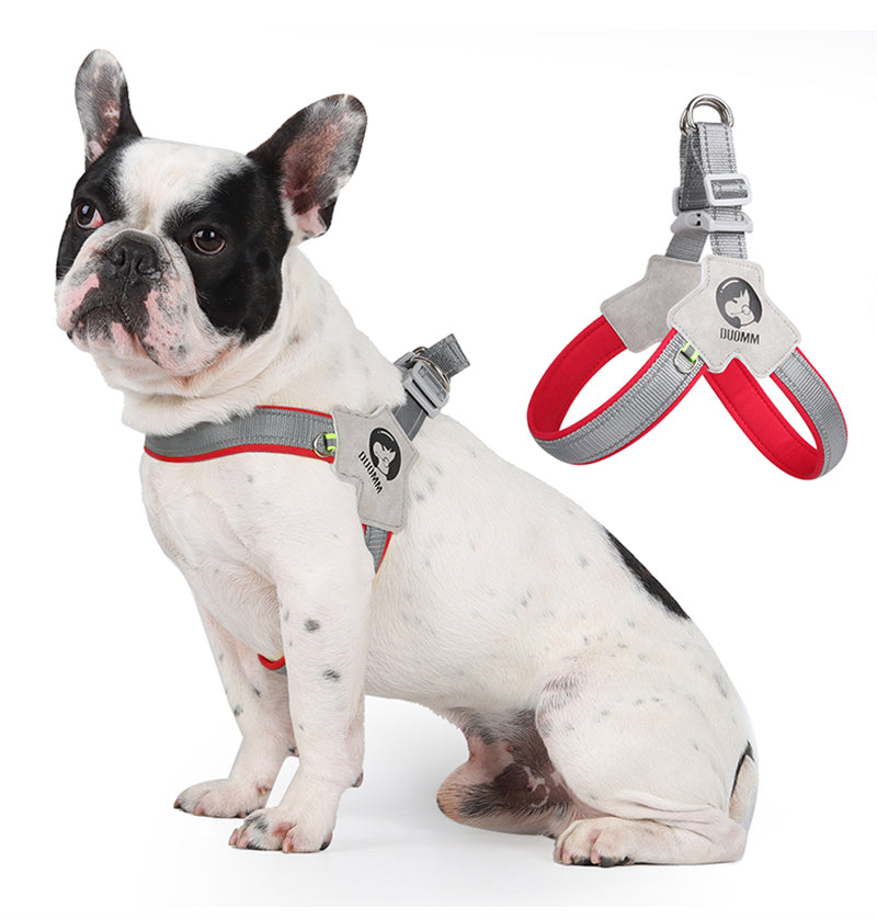 LightLatch No pull Frenchie Reflective Harness 5