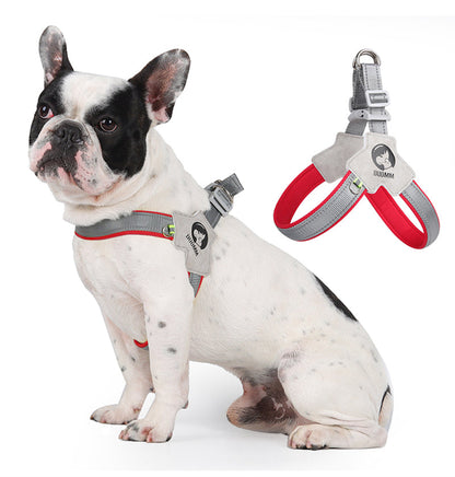LightLatch No pull Frenchie Reflective Harness 5