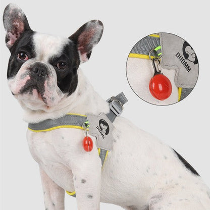 LightLatch No pull Frenchie Reflective Harness 6