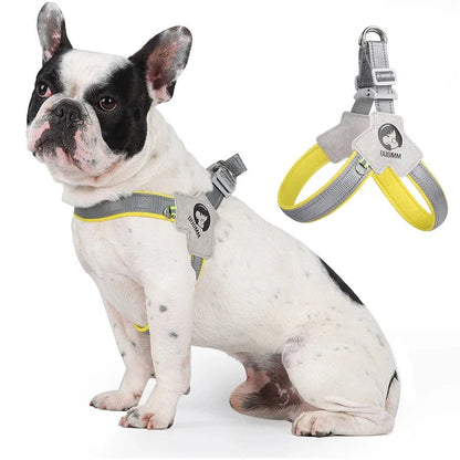 LightLatch No pull Frenchie Reflective Harness 7