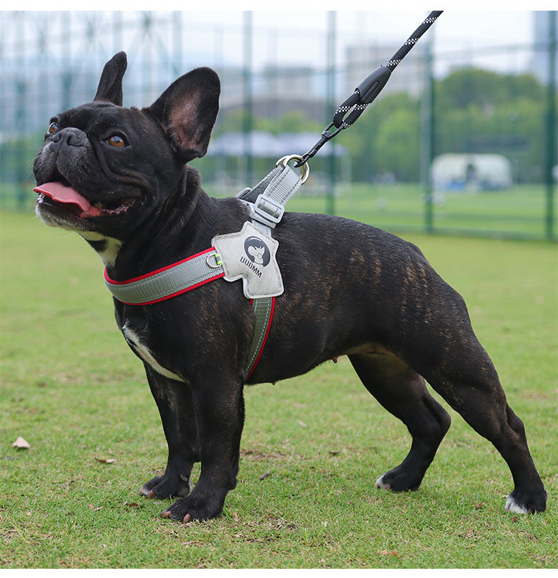 LightLatch No pull Frenchie Reflective Harness 8