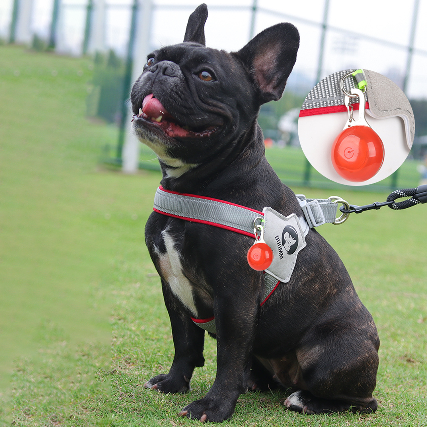 LightLatch No pull Frenchie Reflective Harness 9