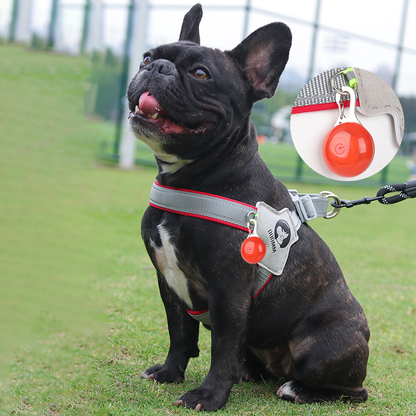 LightLatch No pull Frenchie Reflective Harness 9