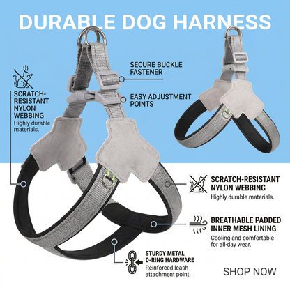 Plush Paws Co. Secure Walking Control — No-Pull Reflective Pet Harness Design