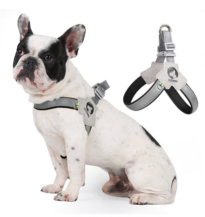 LightLatch No pull Frenchie Reflective Harness 0