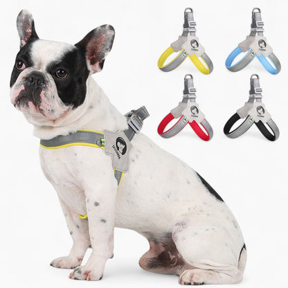 LightLatch No pull Frenchie Reflective Harness 1