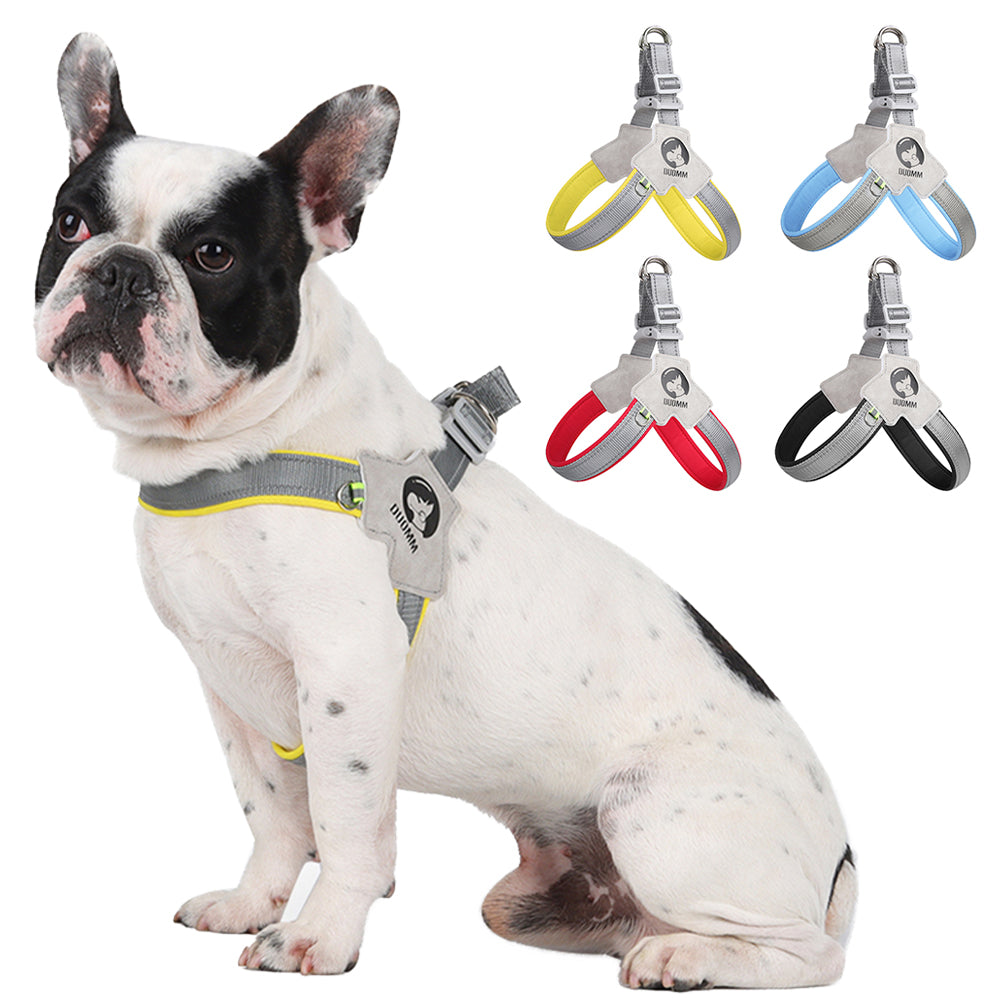 LightLatch No pull Frenchie Reflective Harness 2