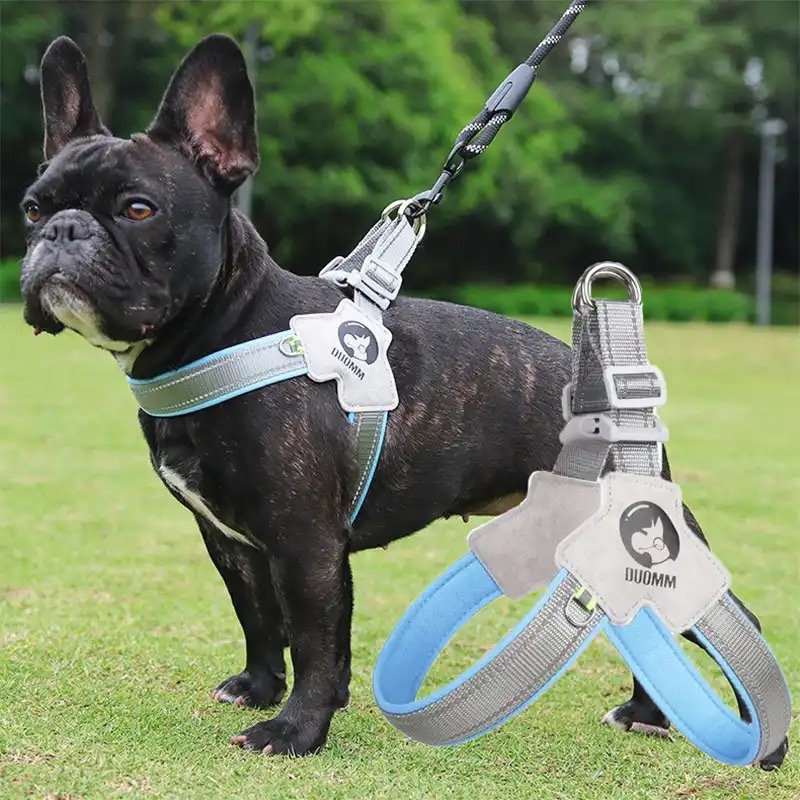LightLatch No pull Frenchie Reflective Harness 3