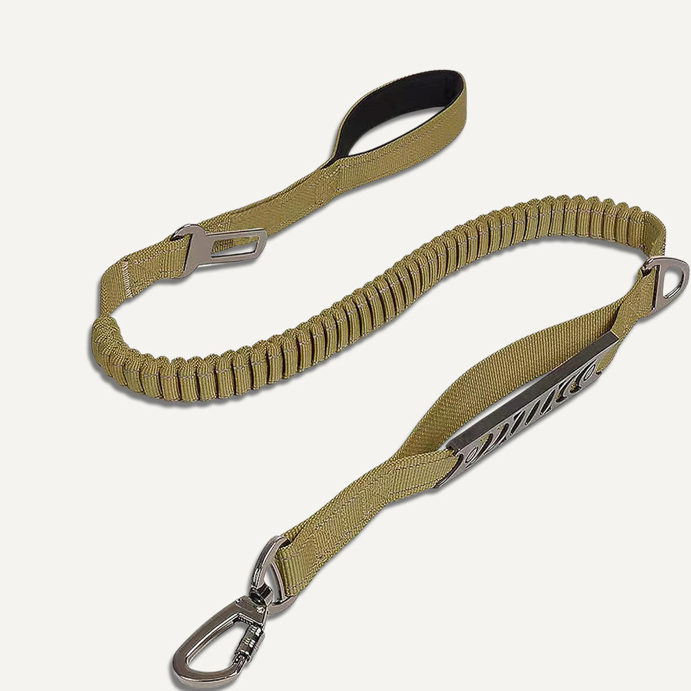 Bungee Leash 6