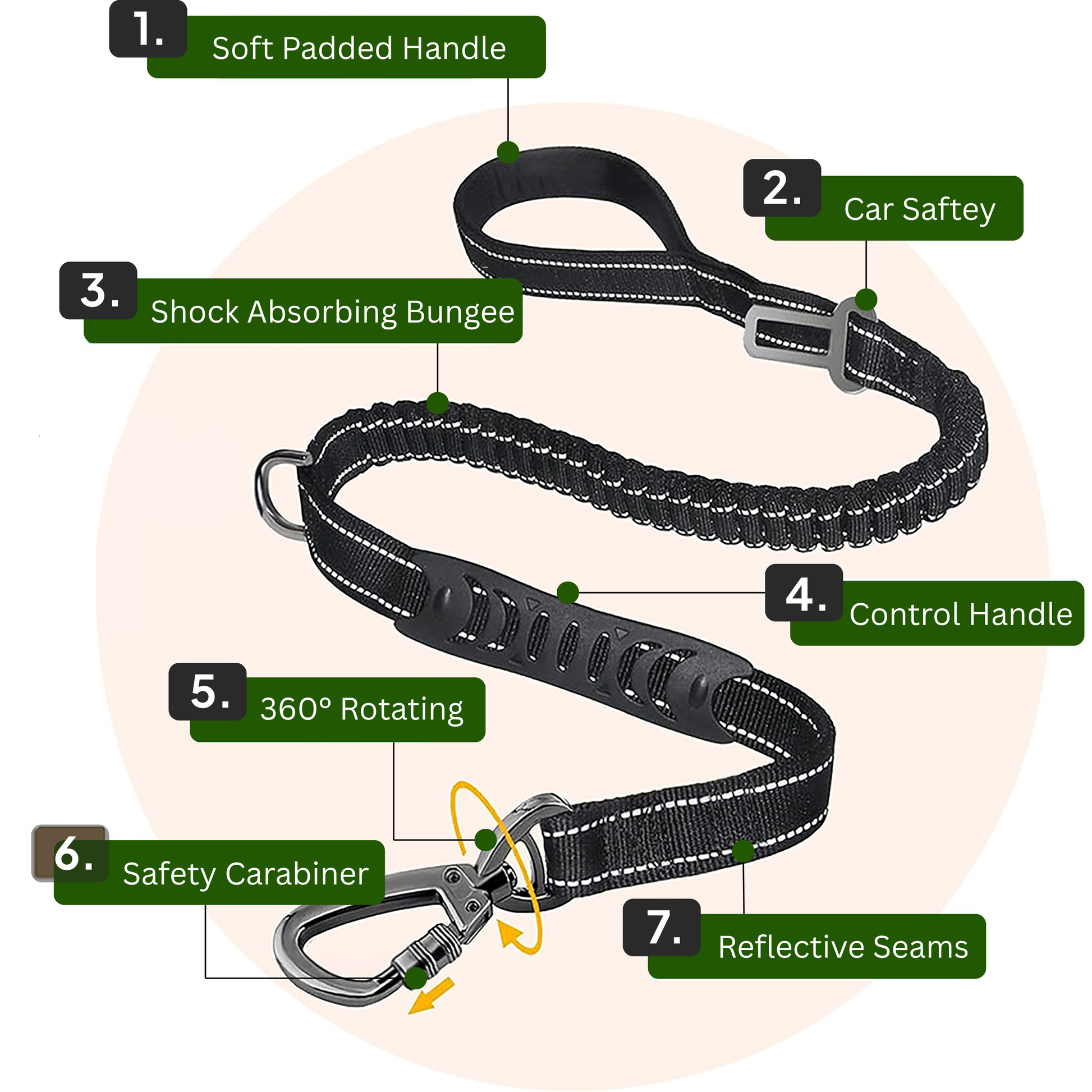 Bungee Leash 8