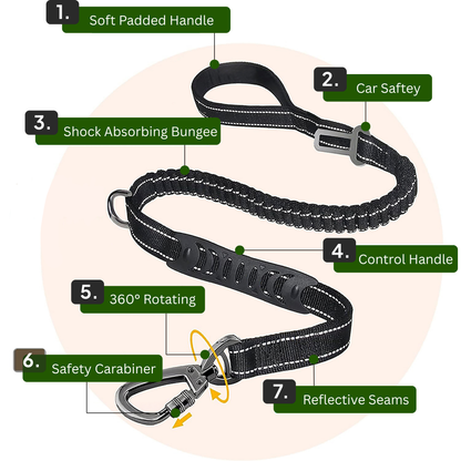 Bungee Leash 8