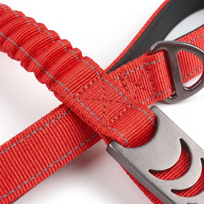 Plush Paws Co. Shock-Absorbing Control — Flexible Bungee Dog Leash Design