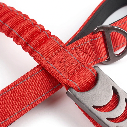 Plush Paws Co. Shock-Absorbing Control — Flexible Bungee Dog Leash Design