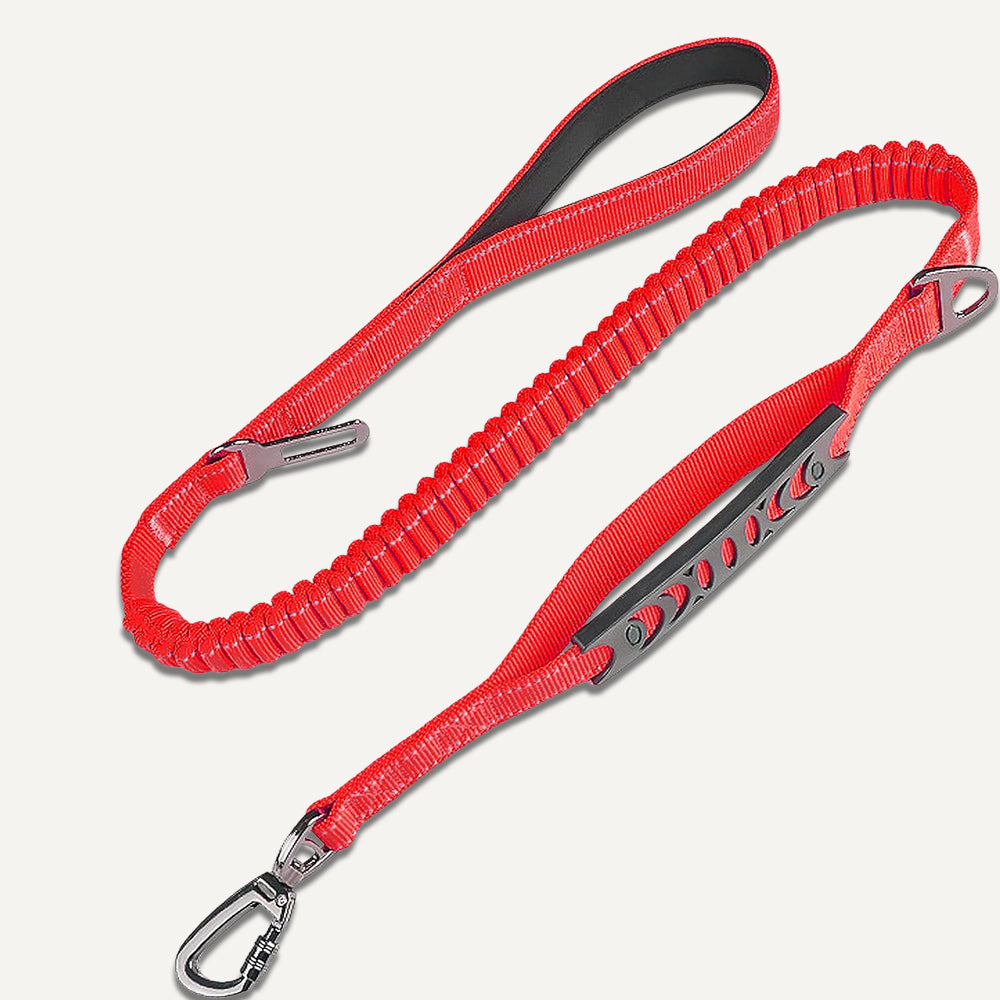 Bungee Leash 1