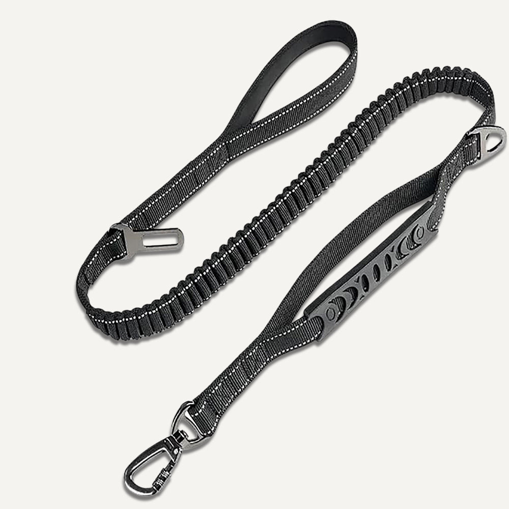Bungee Leash 0