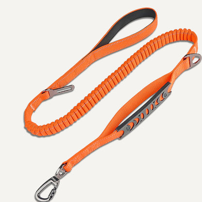 Bungee Leash 2