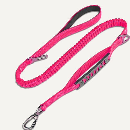 Bungee Leash 3