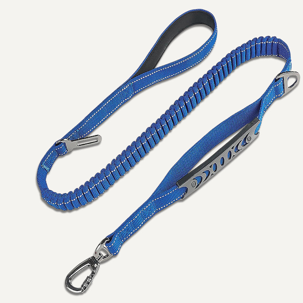 Bungee Leash 4