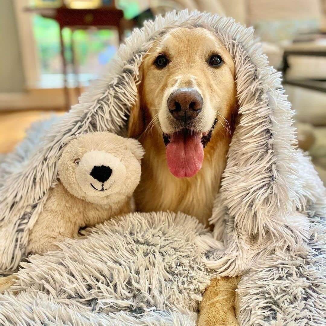 MrFluffyFriend™ - Anxiety Relieving Fluffy Pet Blanket 0