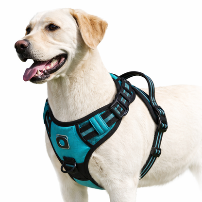 Comfort Control | No Pull Dog Harness with Handle & Soft Padding | Adjustable Fit for Ultimate Comfort 1