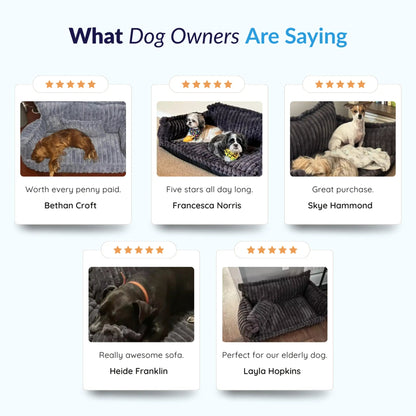 MrFluffyFriend™ - Orthopedic Washable Dog Sofa 5
