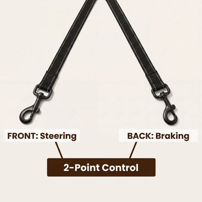 Plush Paws Co. Tangle-Free Multi-Dog Leash — Dual-Ended Swivel Design