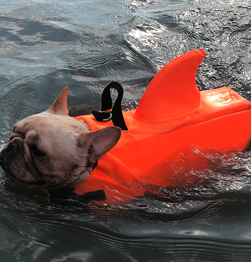 Shark Life Vest V2 (CS02) 6