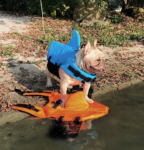 Shark Life Vest V2 (CS02) 8