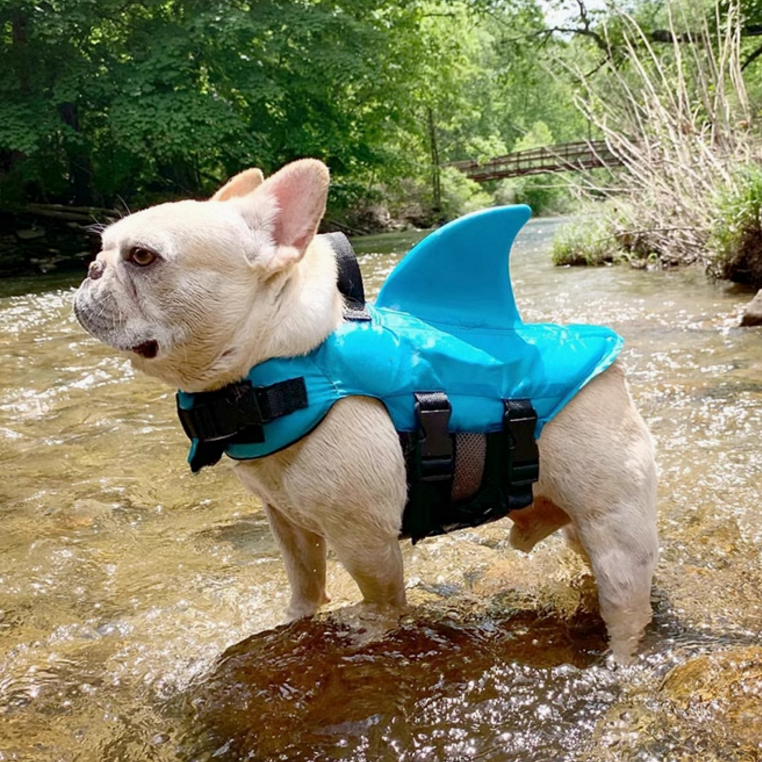 Shark Life Vest V2 (CS02) 2