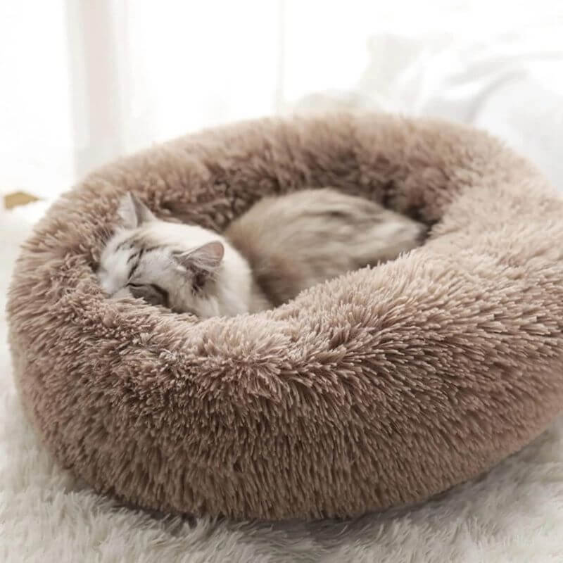 Anxiety Relieving Cat Bed That Helps Cats Stay Calm And Sleep Peacefully
