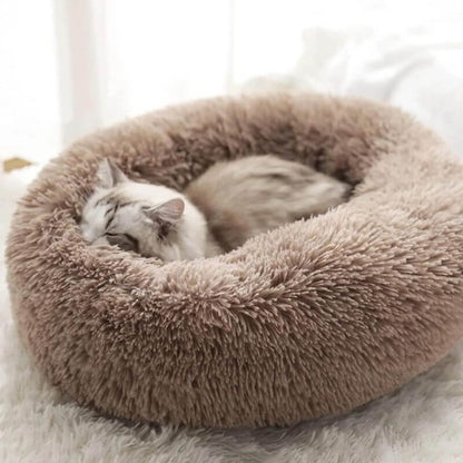Anxiety Relieving Cat Bed That Helps Cats Stay Calm And Sleep Peacefully