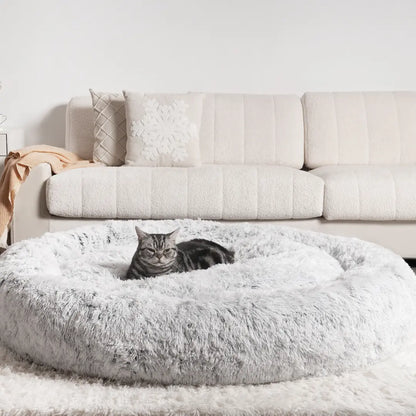 Anxiety Relieving Cat Bed That Helps Cats Stay Calm And Sleep Peacefully