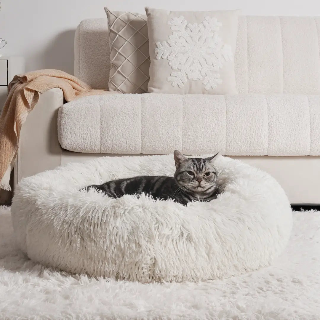 Anxiety Relieving Cat Bed That Helps Cats Stay Calm And Sleep Peacefully