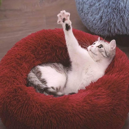 Anxiety Relieving Cat Bed That Helps Cats Stay Calm And Sleep Peacefully